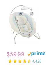  baby bouncer top choices